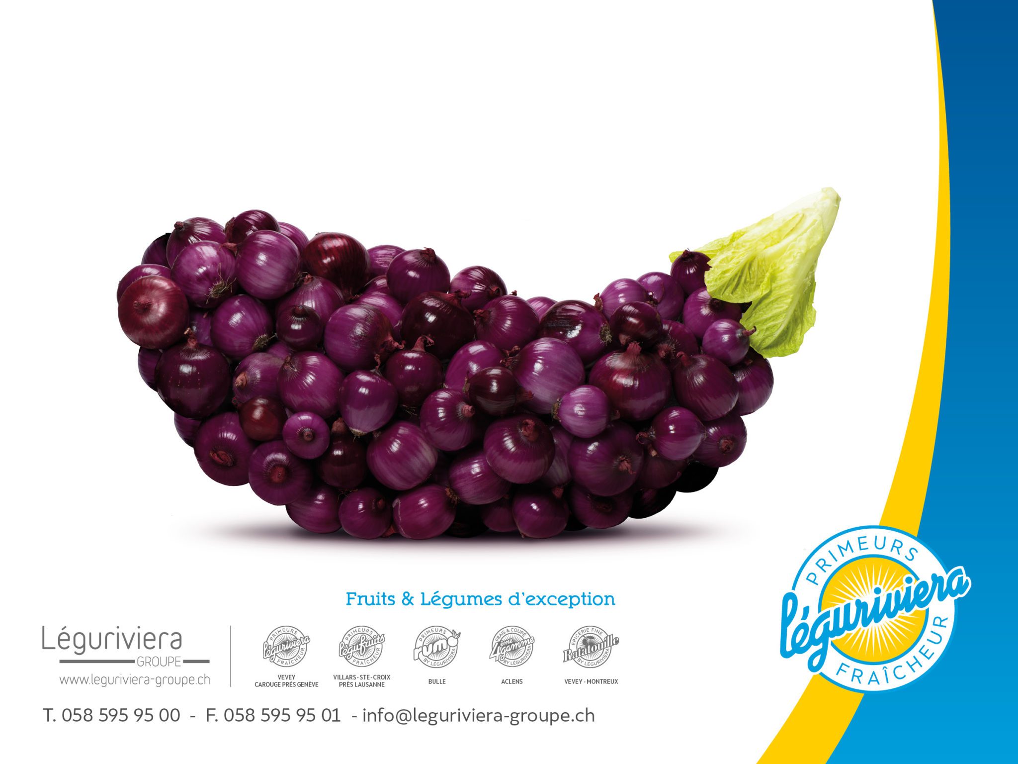 LEG19_Legumes-Fruits-Aubergine
