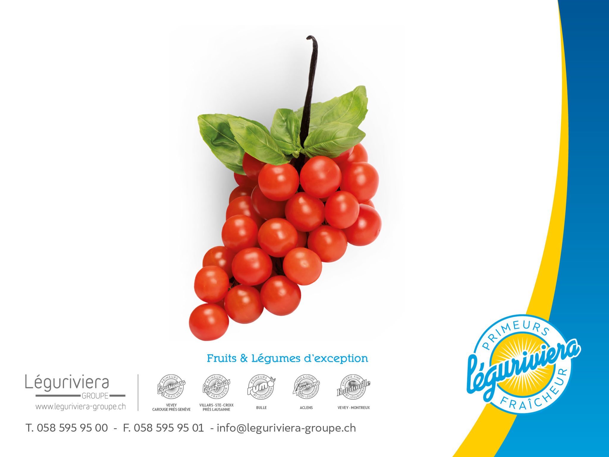 LEG19_Legumes-Fruits-Tomates