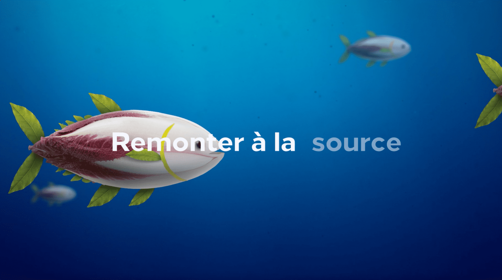 Vignette_rétrospective_2023_Adveo